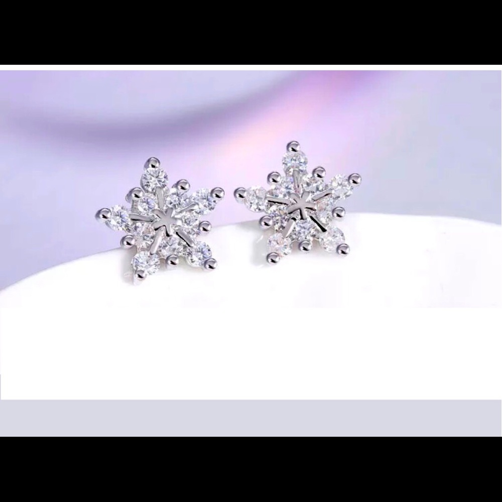 NWT Snowflake Earrings